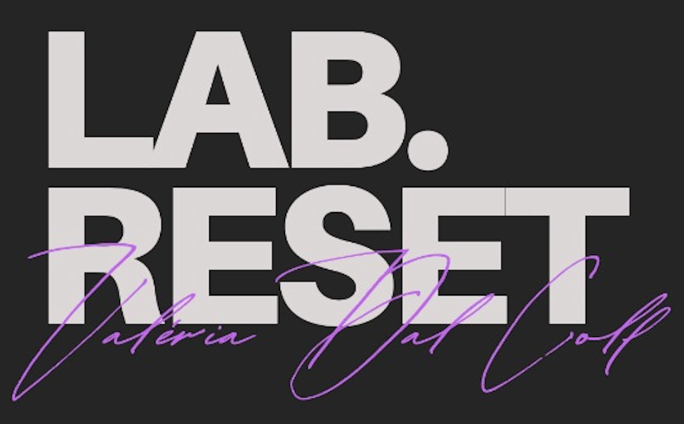 Logo Lab Reset
